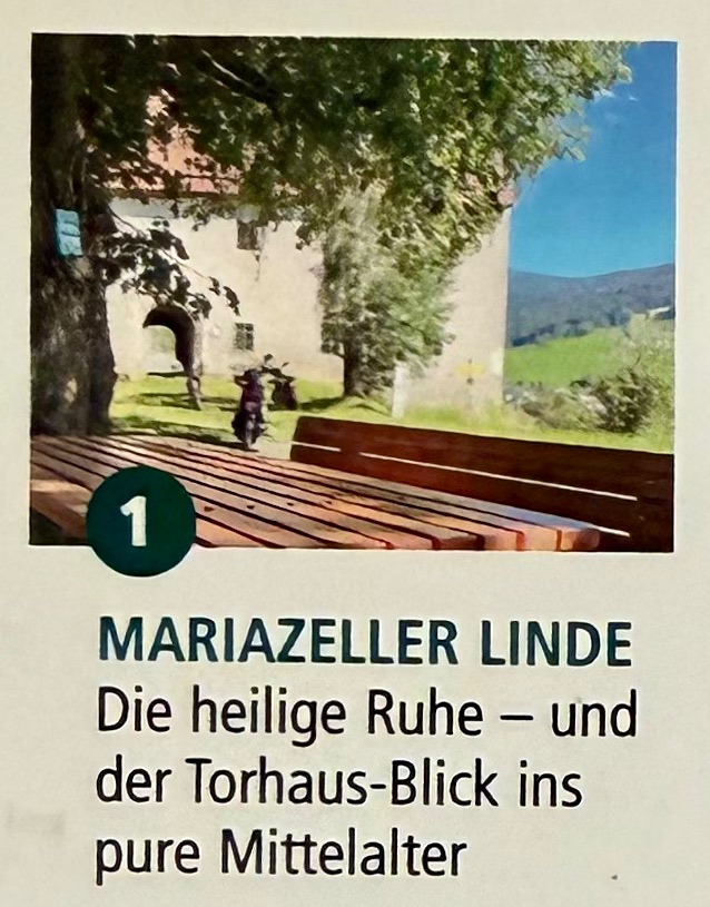 Mariazellerlinde bei den Genussplätzen in Sankt Lambrecht